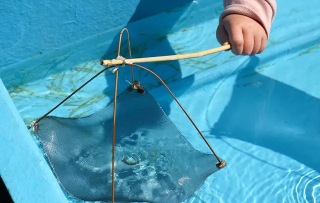 第20回紀州湯浅のシロウオまつり