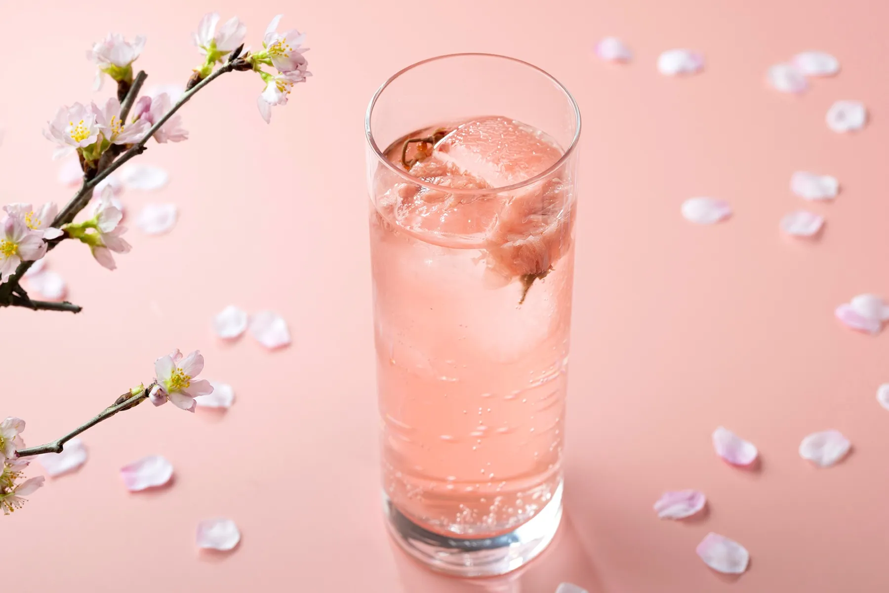 SAKURA コース【カフェ カリフォルニア】_4