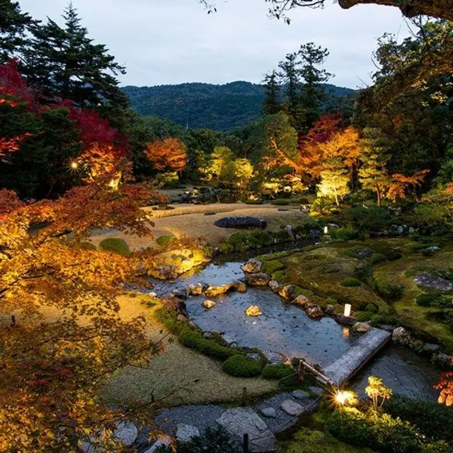 秋の紅葉特別夜間公開　トワイライト庭園パーティー2026