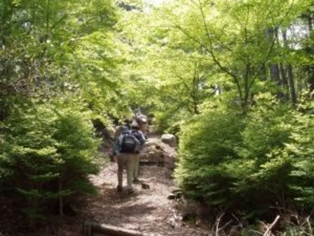 藤ヶ丸山トレッキング