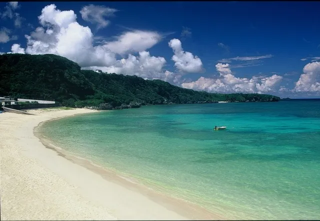 奄美群島世界自然遺産登録4周年記念　魅惑の奄美群島フェア