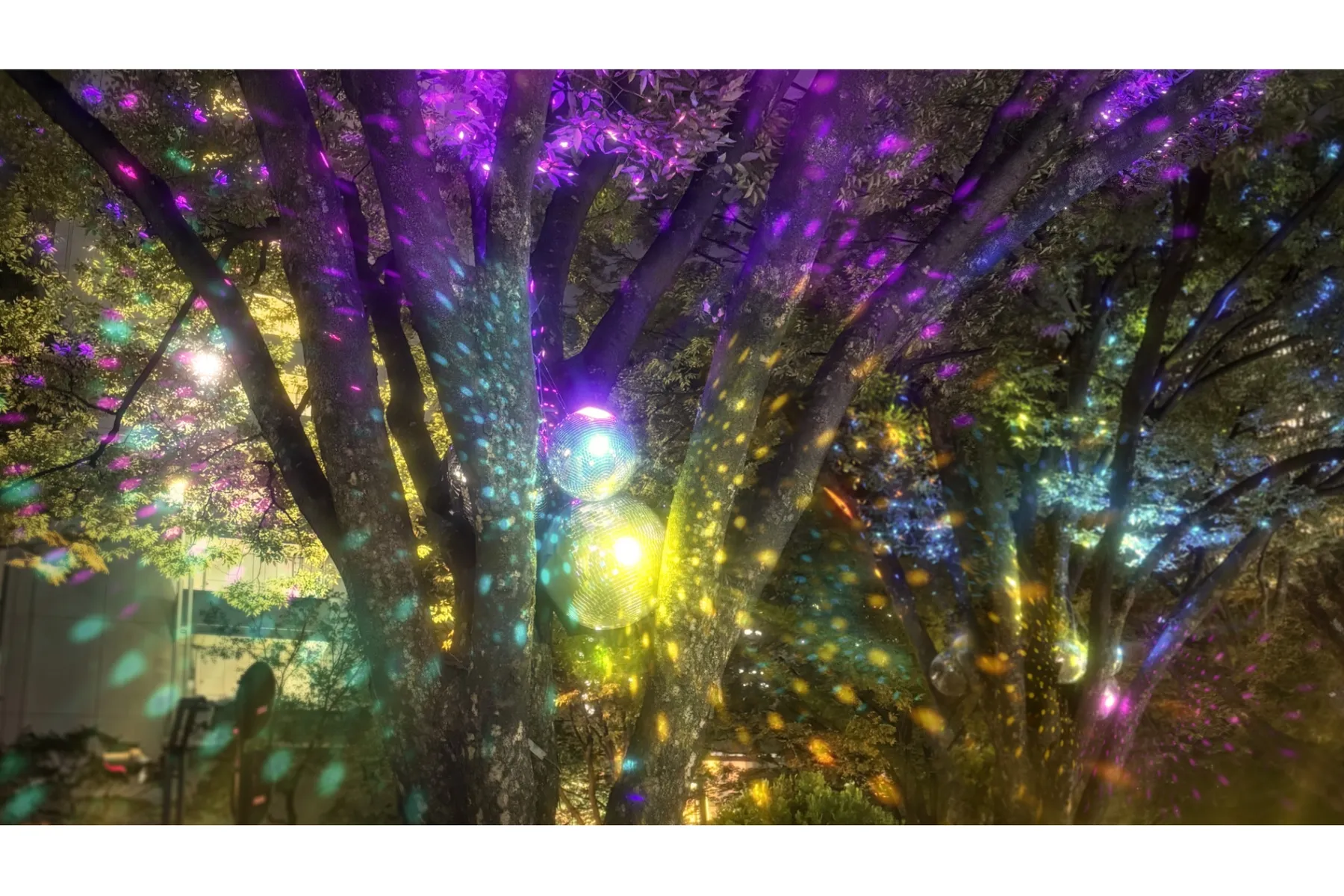 Shinjuku Neon Walk_3