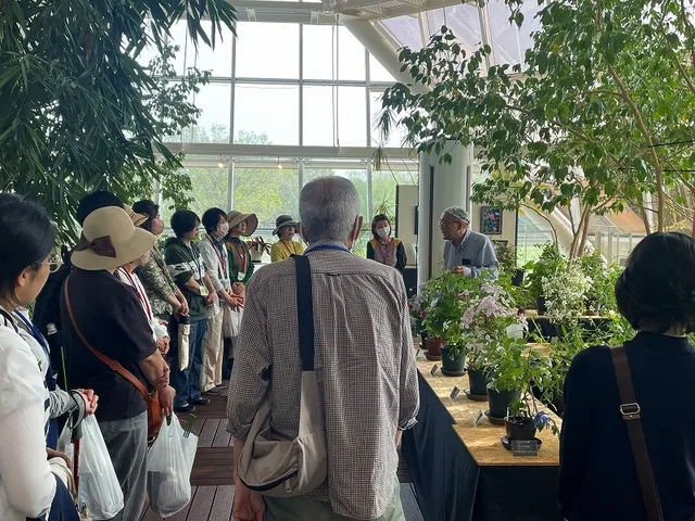 クレマチス展品種解説