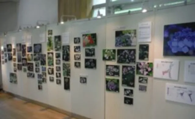 企画展「森林植物園のアジサイパネル展」