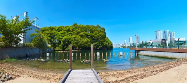 五感でふれる、東京の海と干潟 ― 食とブルーシーフードから学ぶ、東京湾のいま ―