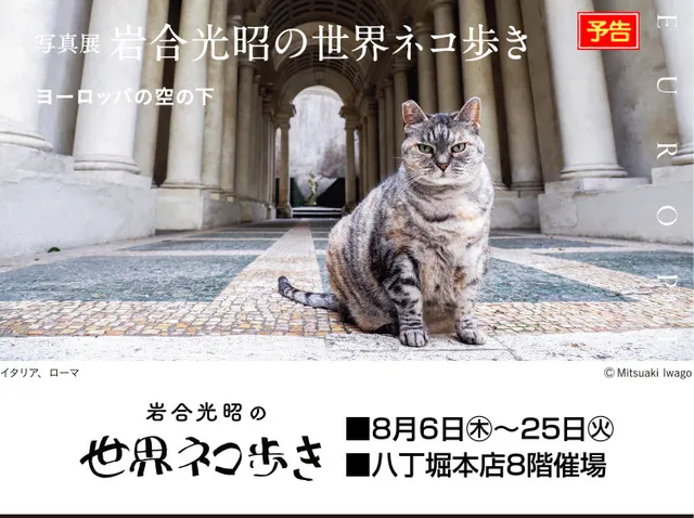 写真展 岩合光昭の世界ネコ歩き　ヨーロッパの空の下