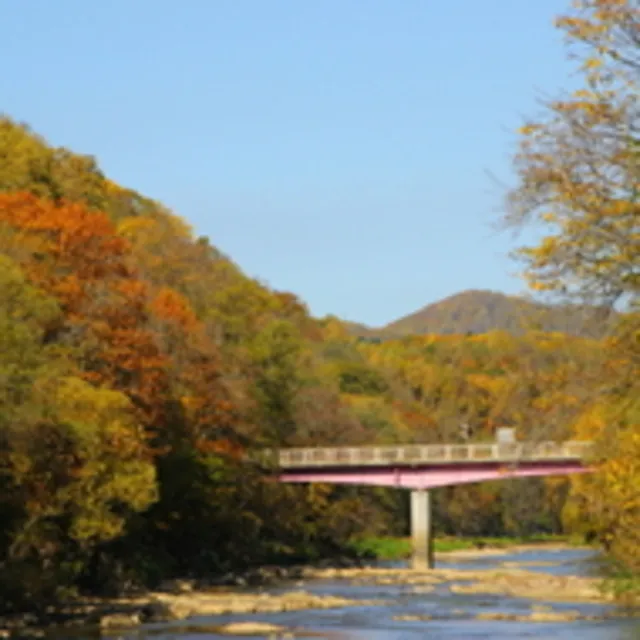 【紅葉・見ごろ】嵐山公園