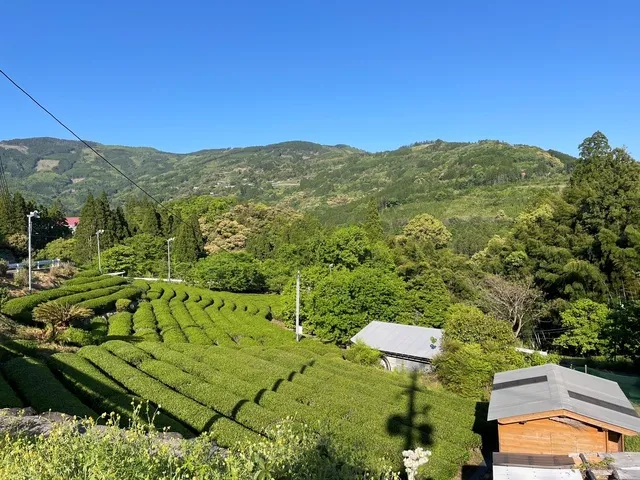 農山村ボランティア「若葉のふるさと協力隊」in 宮崎県諸塚村