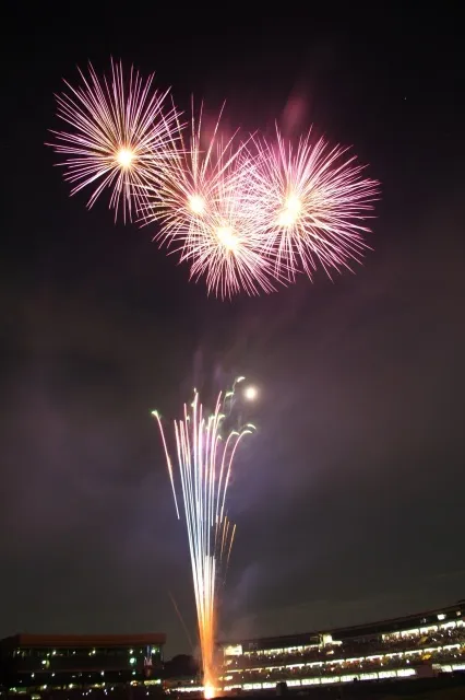 第46回たたら祭りフィナーレ花火