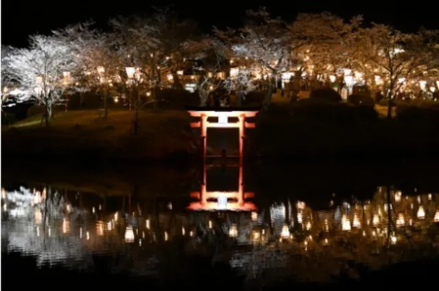 庄原上野公園 桜まつり2026