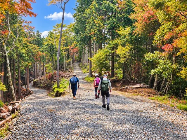 秦野市山岳協会といく秋の林道ウォーク