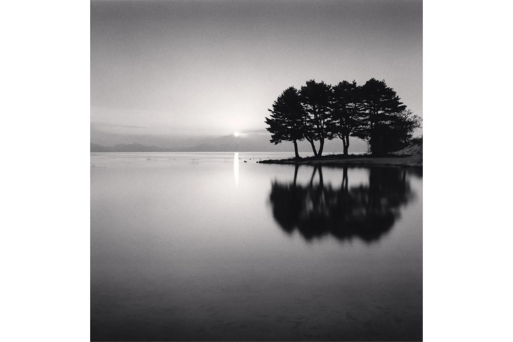 WONDER IS EVERYWHERE ― 驚きは、いたるところに_4