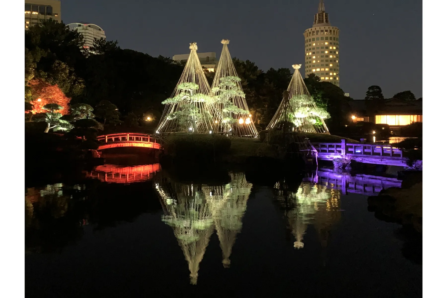 見浜園の紅葉情報_4