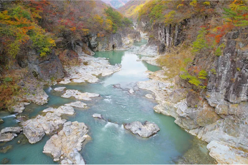 川治温泉の紅葉情報_2