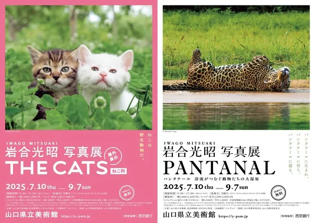 特別展「岩合光昭 写真展 PANTANAL」