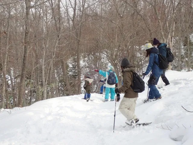 冬の森　おさんぽガイド