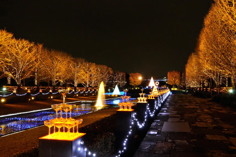 Winter Vista Illumination2018_1