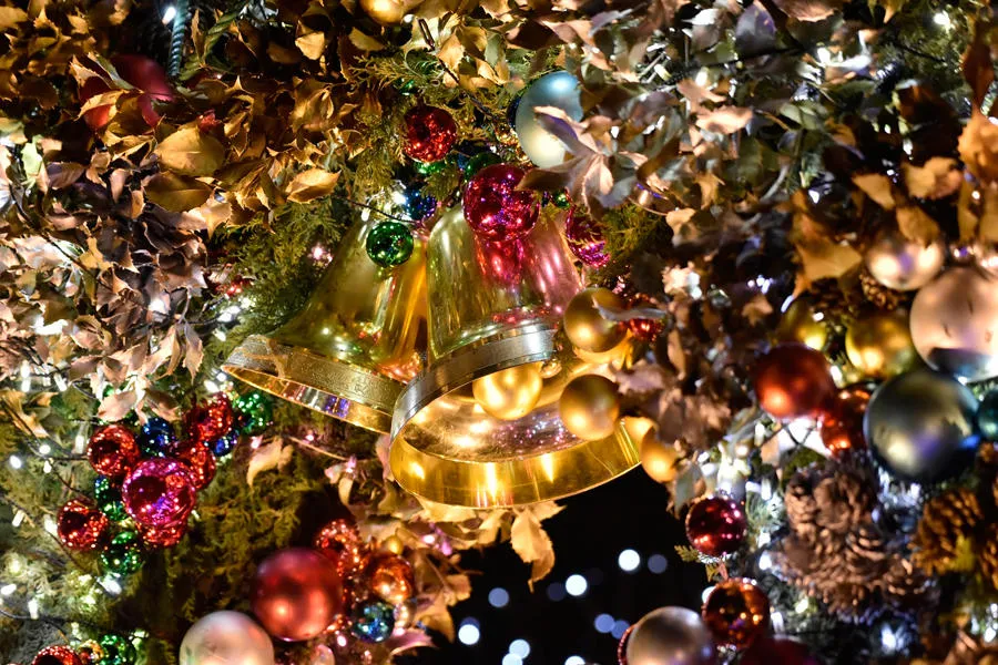 Winter Vista Illumination2018_3