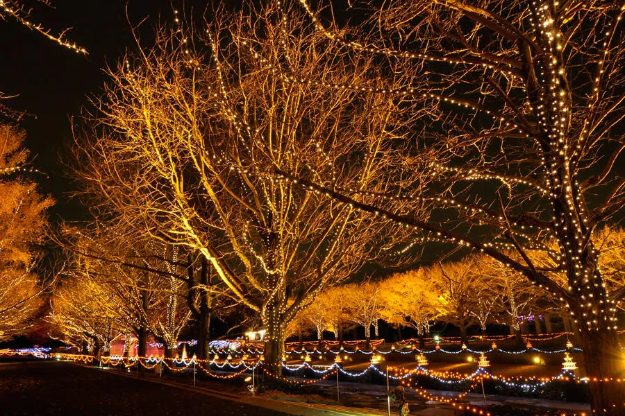 Winter Vista Illumination2018_5