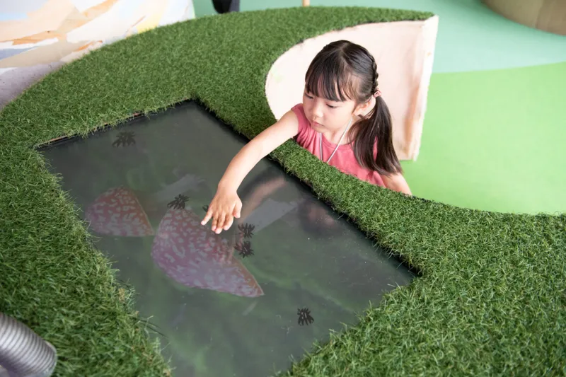 野生の“ゆっくり”を体感する「スローハント」