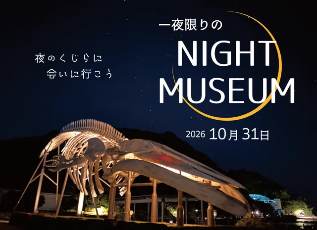 太地町立くじらの博物館 一夜限りのナイトミュージアム