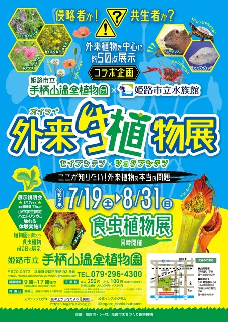 姫路市立手柄山温室植物園　外来植物展