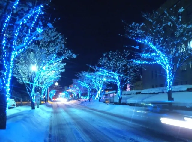 見附市街路樹イルミネーション2025