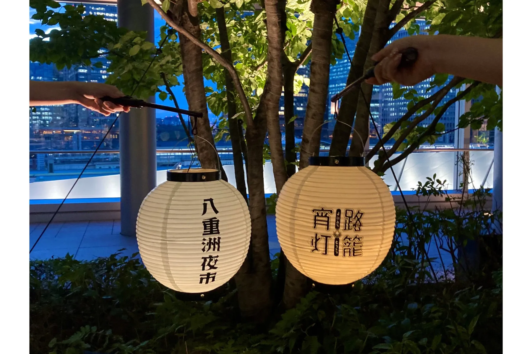 宵路灯籠2024_11