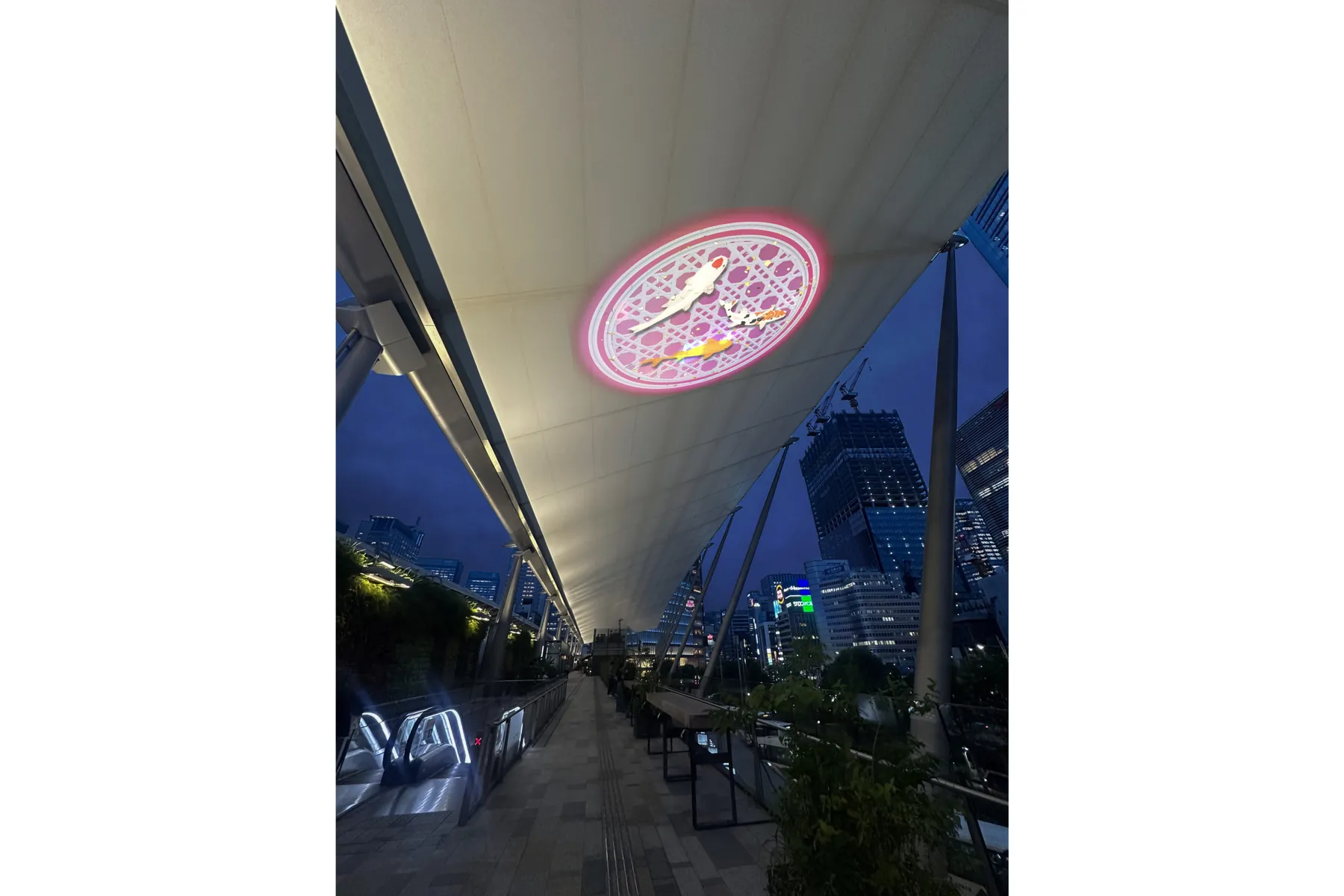 宵路灯籠2024_15