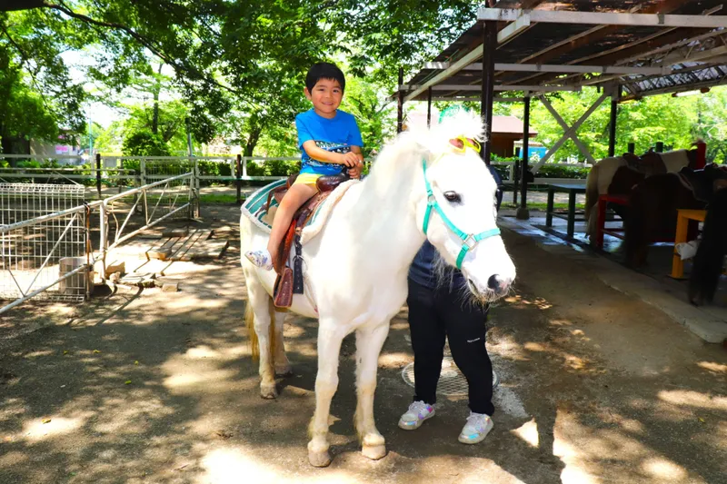 【ふれあい牧場】ポニー乗馬