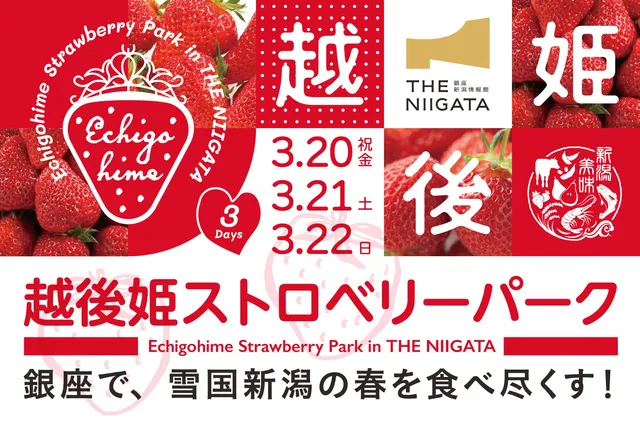 越後姫ストロベリーパーク 銀座で幻のいちごを食べ尽くす2026