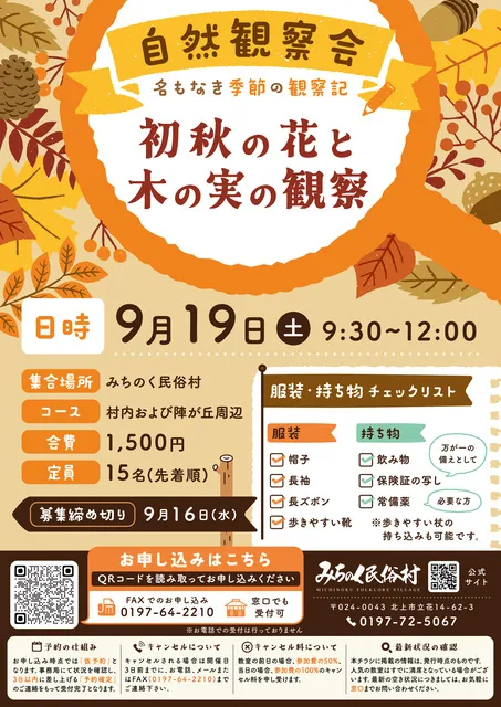 自然観察会　名もなき季節の観察記（9月）