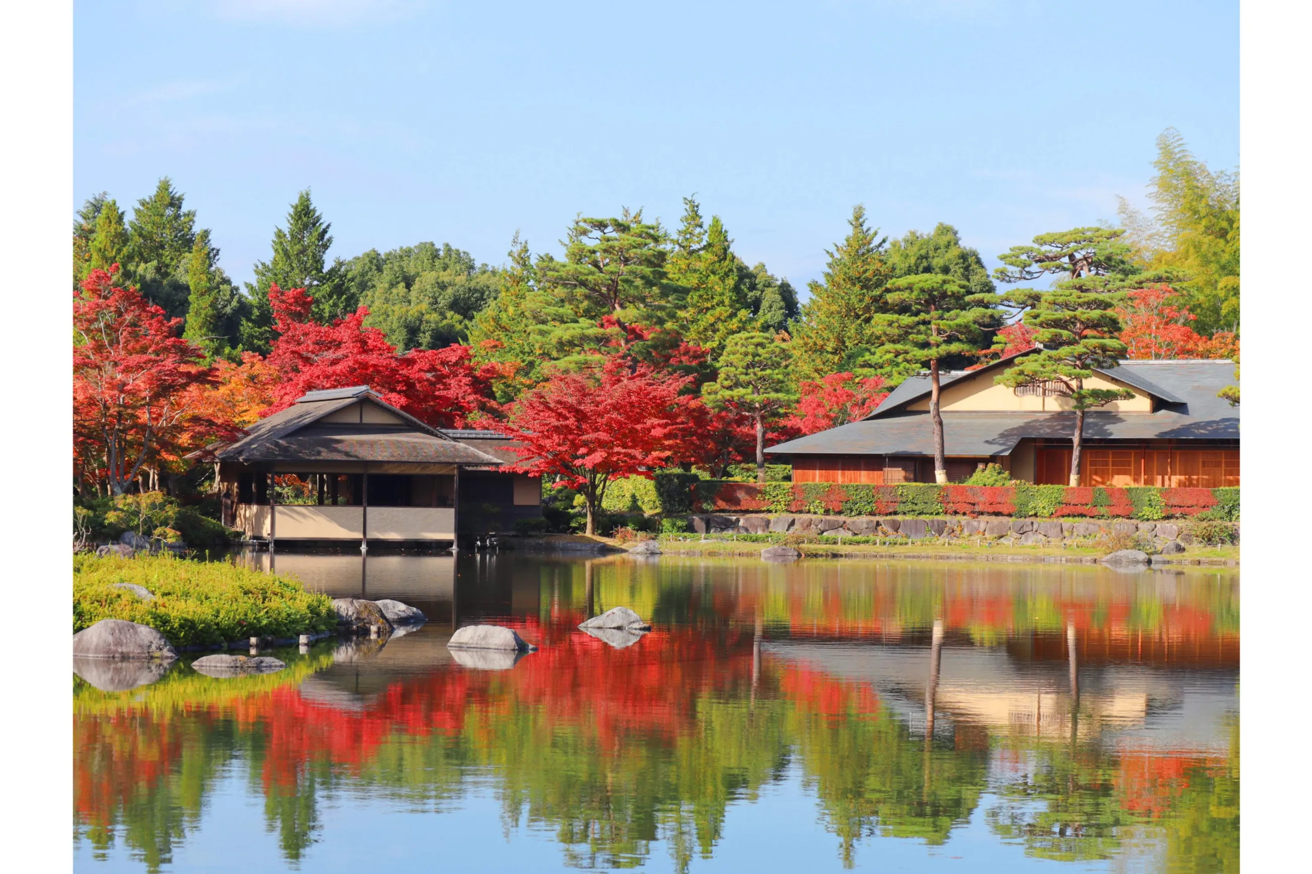 【一点もの】ゆるです☆紅葉のお祭り ねね様が愛した紅葉を『⼿が届く距離』で─円⼭公園『京都 炭