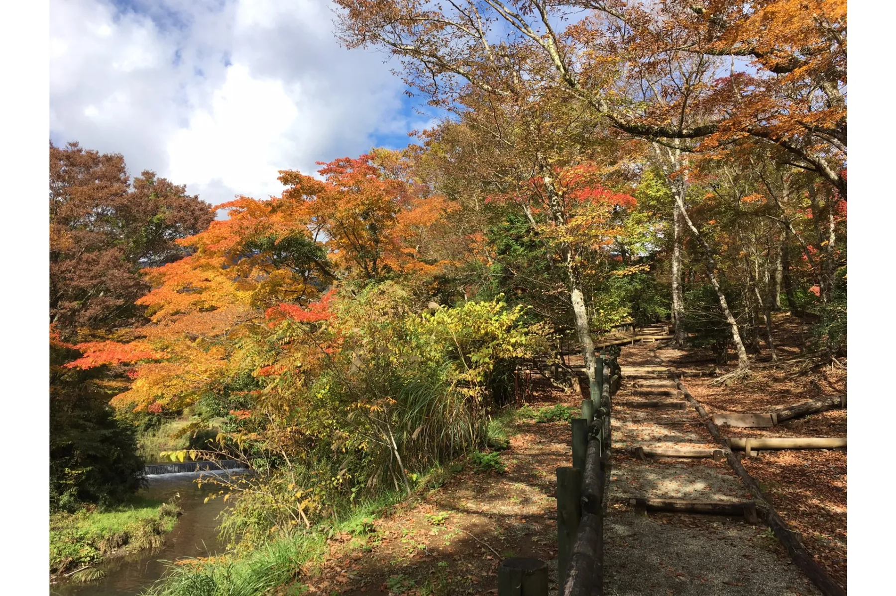 小田急箱根ハイランドホテルの紅葉情報_2
