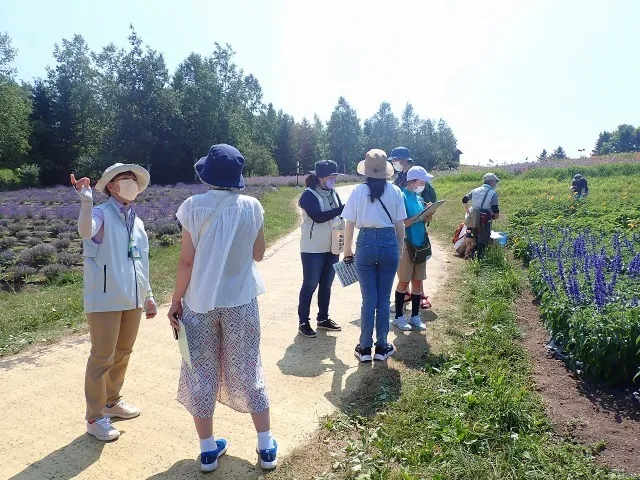 お花の不思議探検隊