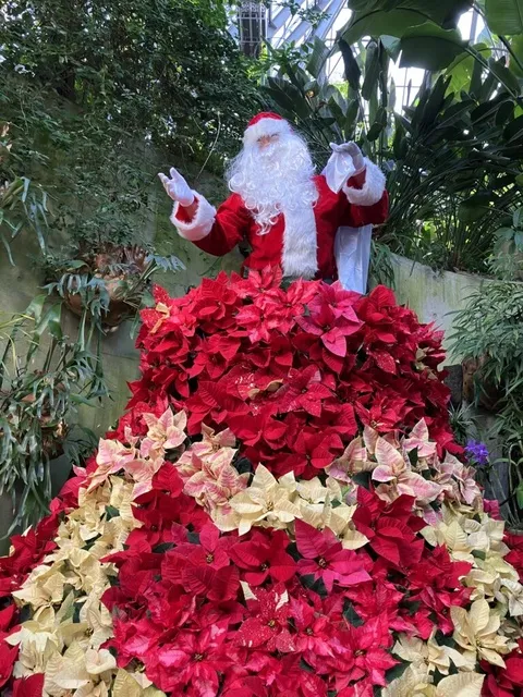 ポインセチアドレス＆サンタクロース！