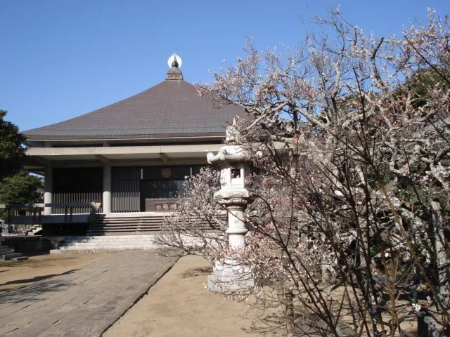 【花・見ごろ】浄國寺の梅_1