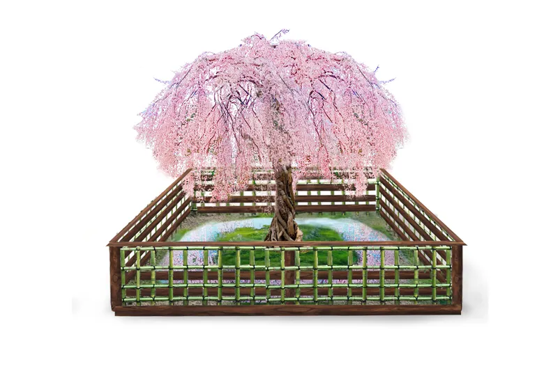 LAZONA SAKURA IRO GARDEN_2