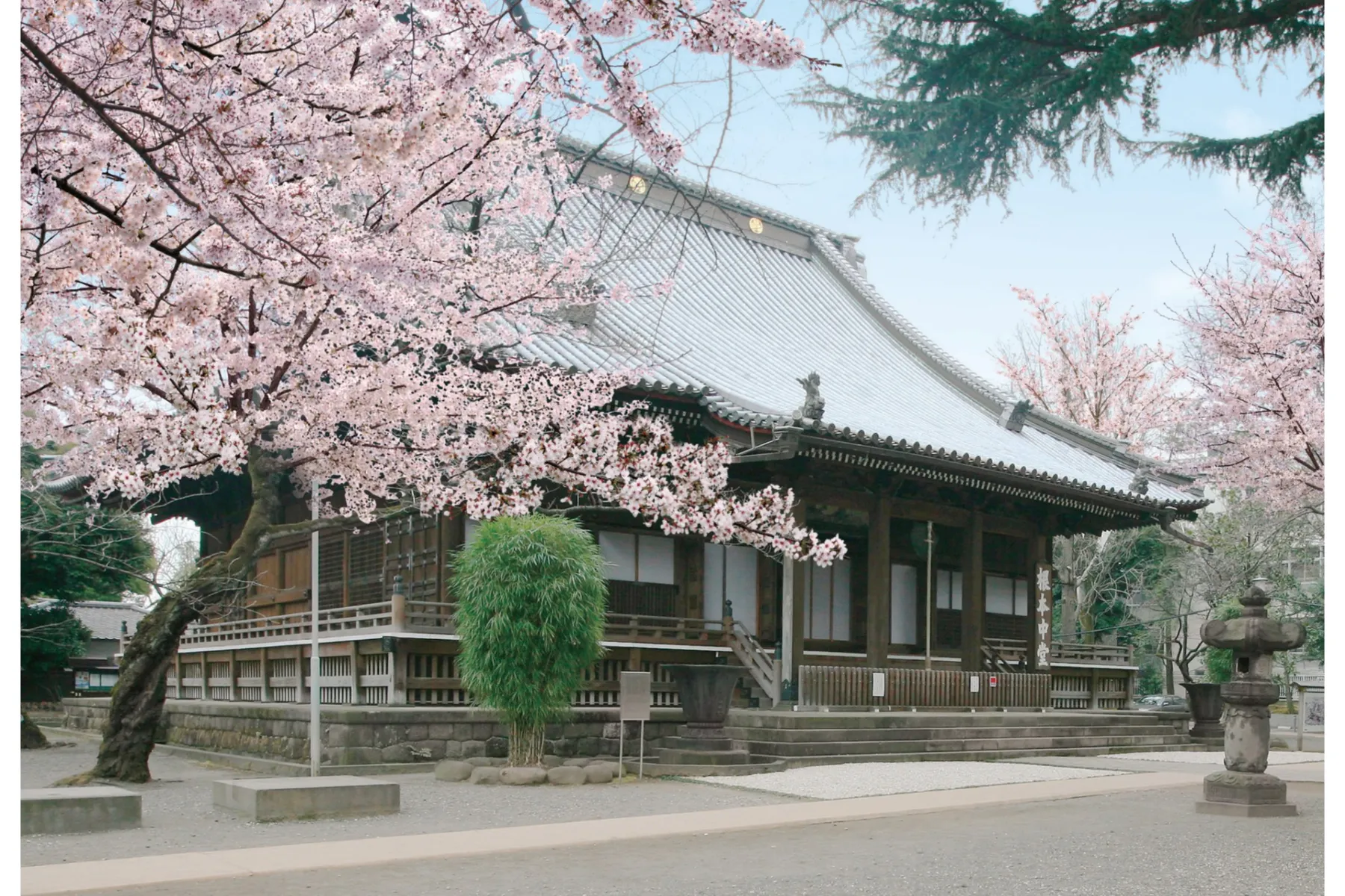 東叡山寛永寺根本中堂天井絵奉納記念 手塚雄二展 雲は龍に従う