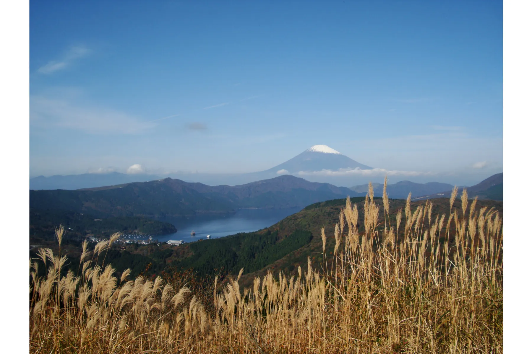 アネスト岩田ターンパイク箱根の紅葉情報_1