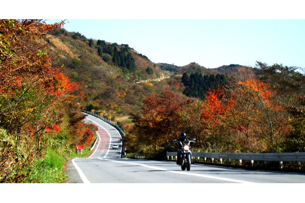 アネスト岩田ターンパイク箱根の紅葉情報_2
