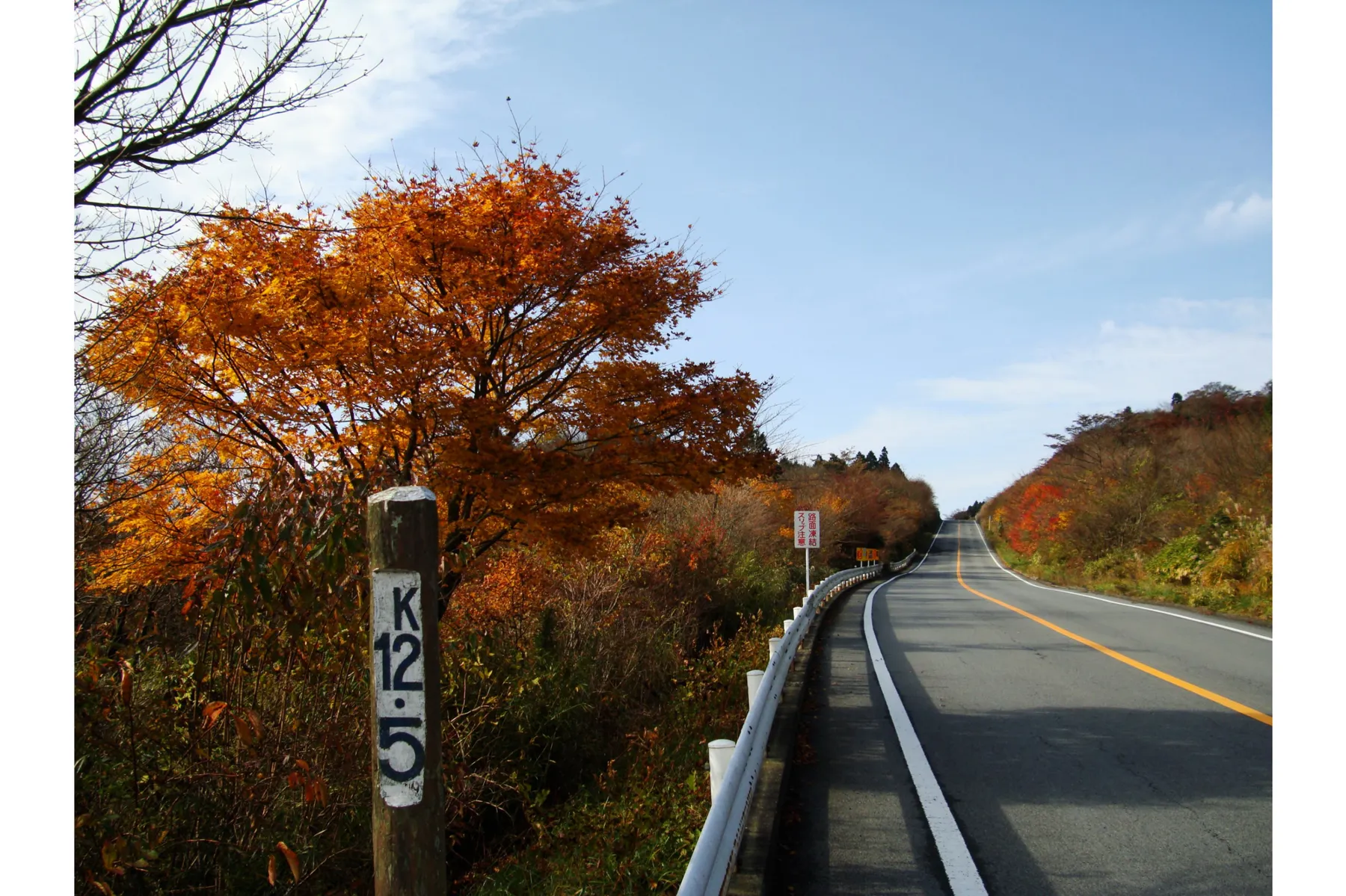 アネスト岩田ターンパイク箱根の紅葉情報_4