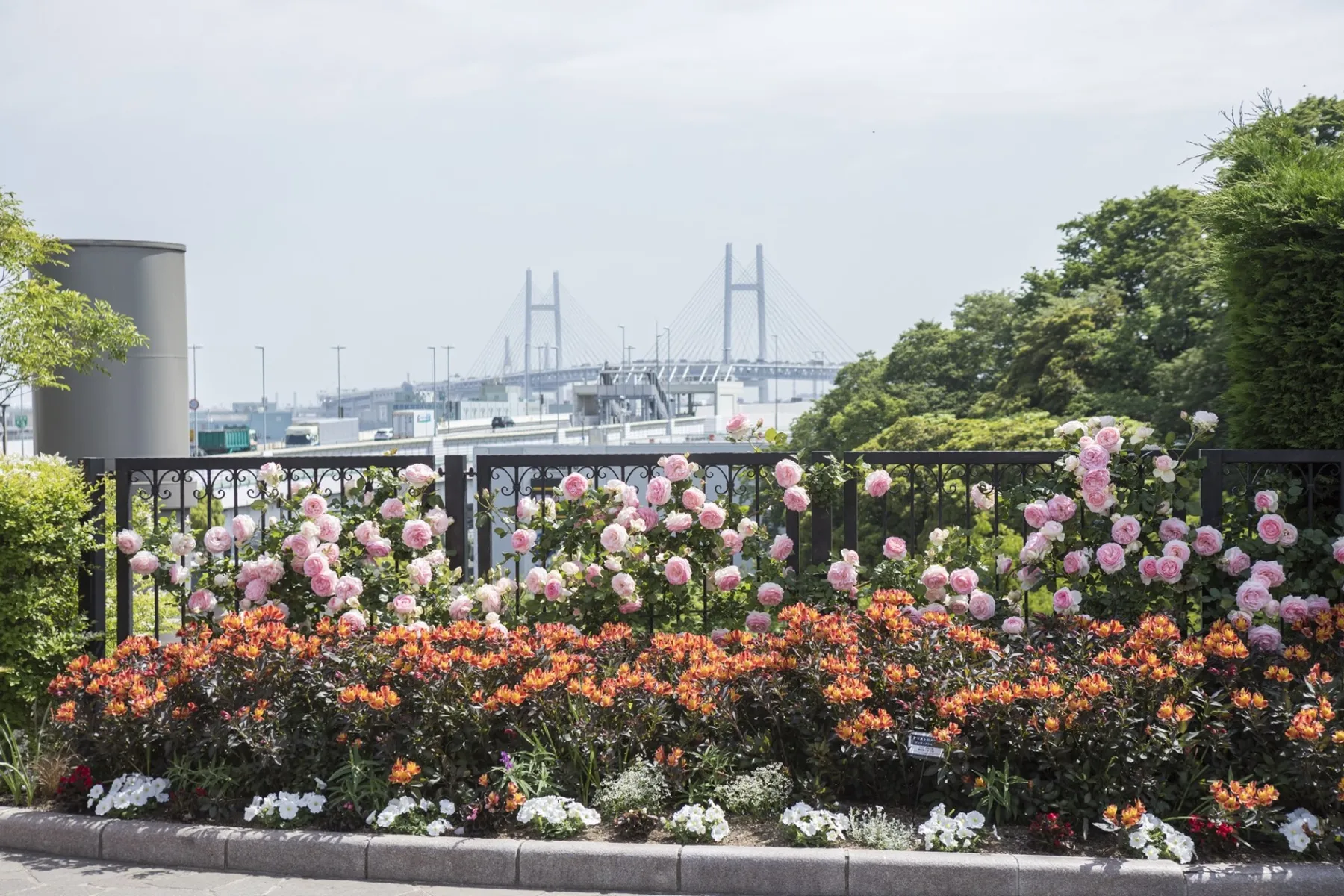 ガーデンネックレス横浜2026「横浜ローズウィーク」_10