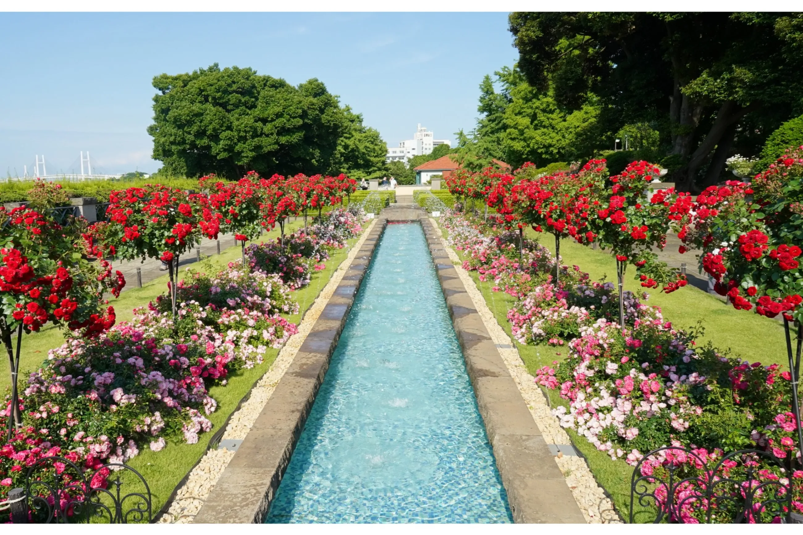 ガーデンネックレス横浜2025「横浜ローズウィーク」