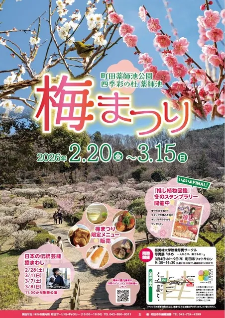 町田薬師池公園 四季彩の杜 薬師池 梅まつり