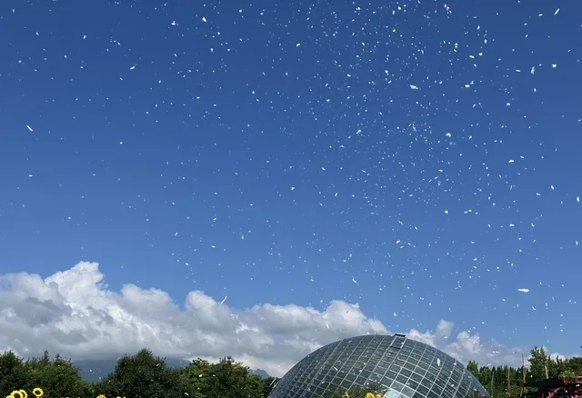 とっとり花回廊「スノーイベント」
