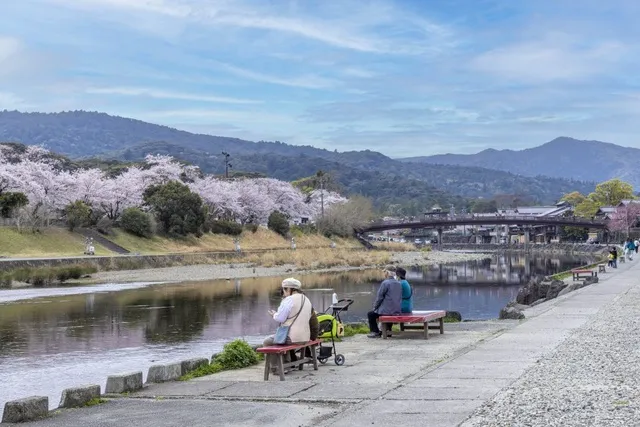 【桜・見ごろ】五十鈴川