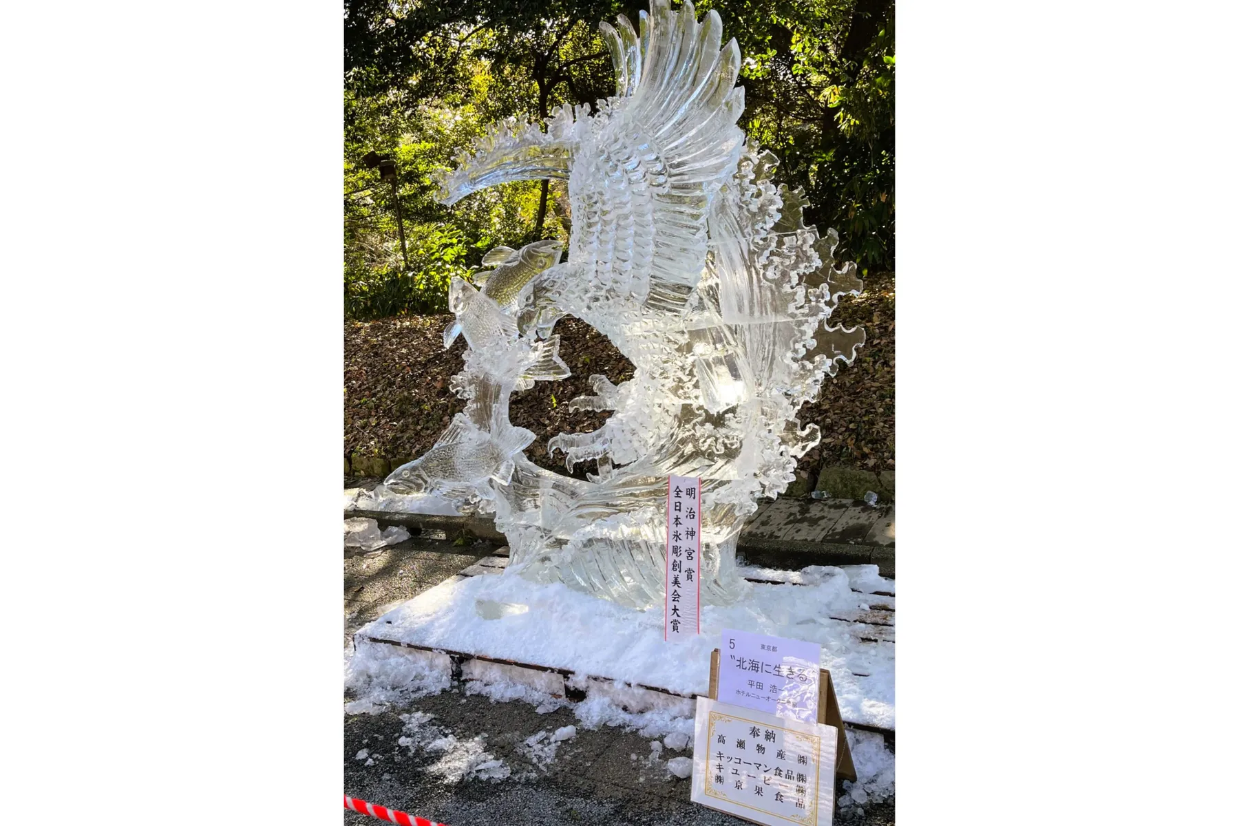 第50回 明治神宮奉納全国氷彫刻展_3