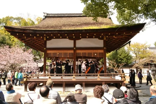 平野神社桜コンサート