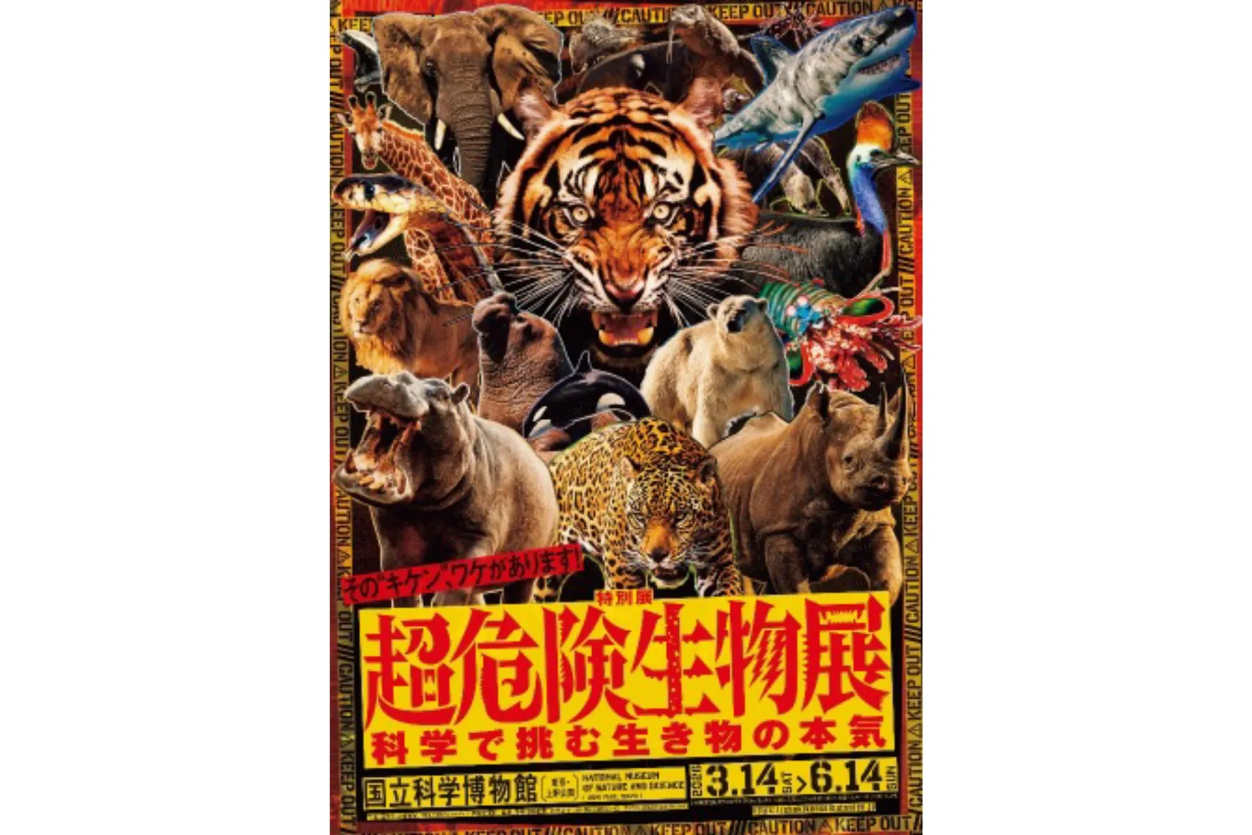 特別展「超危険生物展 科学で挑む生き物の本気」_1